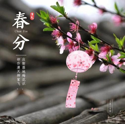2022年3月20日春分出生男婴最佳取名