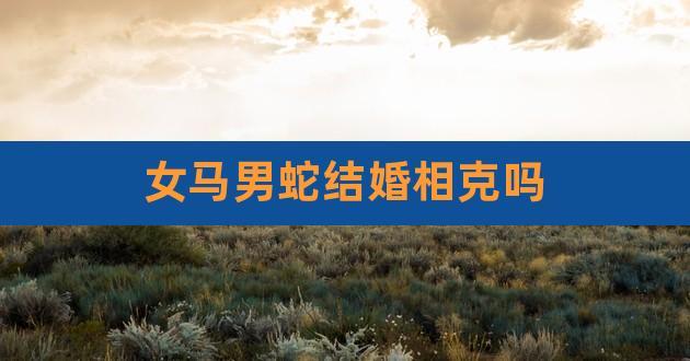 马和蛇属相相配吗,属马与属蛇在一起好不好