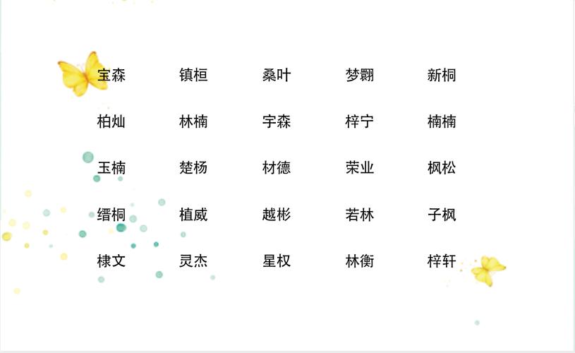 男孩子取名字有木偏旁
