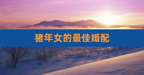 猪年生人婚配最佳属相