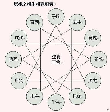 属相相冲的两个人在一起会出现什么问题