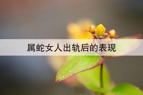 属蛇女人的婚后会不会出轨