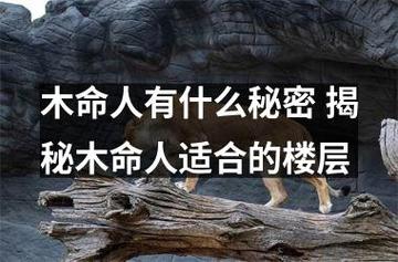 木命人有什么秘密