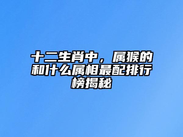 属猴的和什么属相不合,生肖属相的猴与什么不合