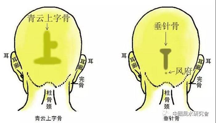 三十八贵骨图解及位置
