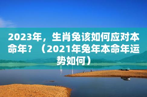 生肖兔2021年创业会成功吗,属兔人和什么生肖合作最顺