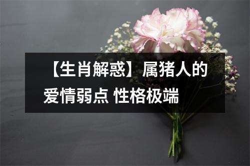 属猪的感情弱点是什么