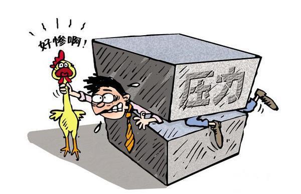 属兔工作压力大会抱怨吗