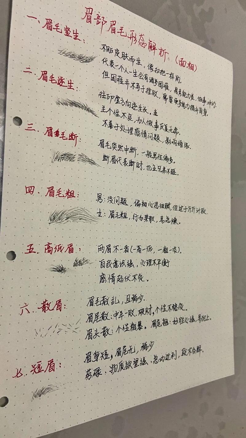 眉毛面相解析你的命运