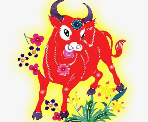 属牛发红包的吉祥数字是什么