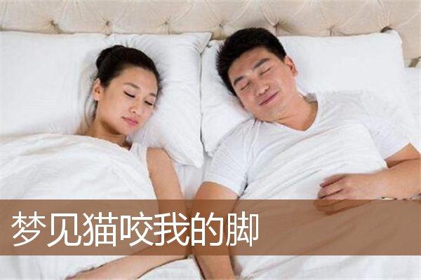 梦见被猫咬到右脚