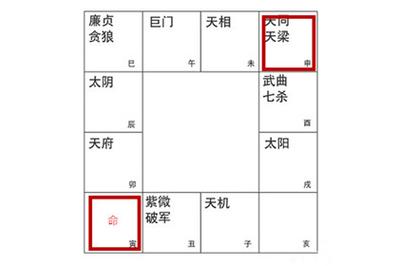 命宫天梁代表什么