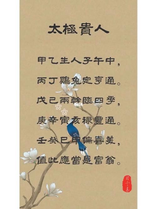 太极贵人是什么意思