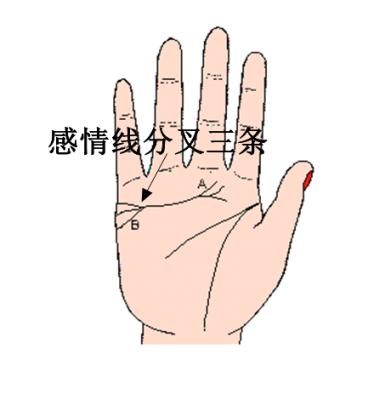 感情线分岔是什么意思？