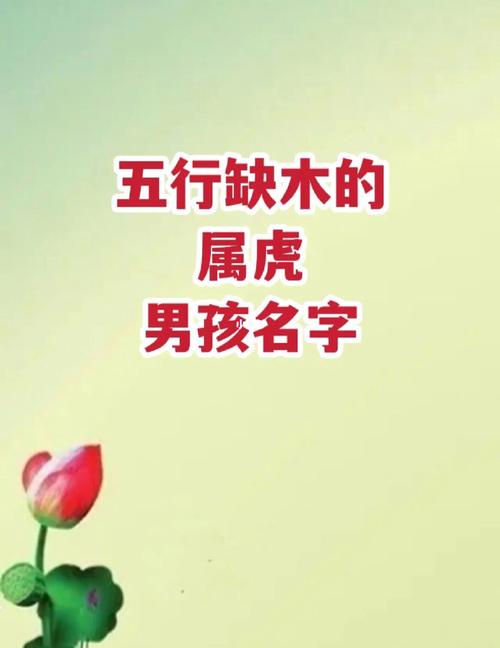 木字的男孩名字属虎