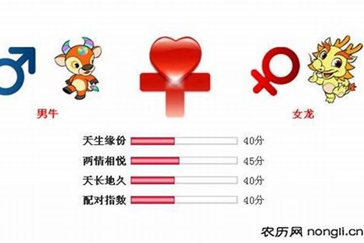 属牛女最后会和谁走到一起