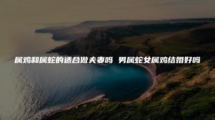 属鸡男和属蛇女的婚姻如何?属蛇女希望对象为自己做什么?