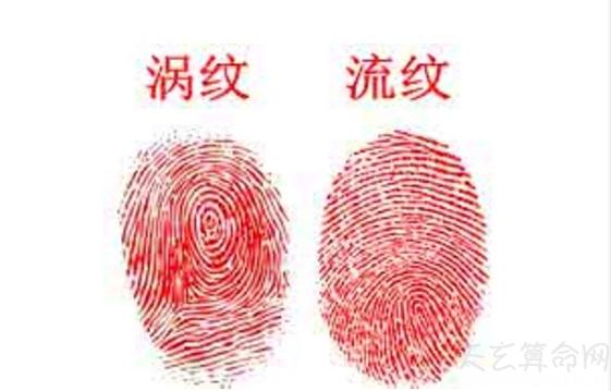 指纹算命从指纹的“涡纹”能看出哪些信息?(一)