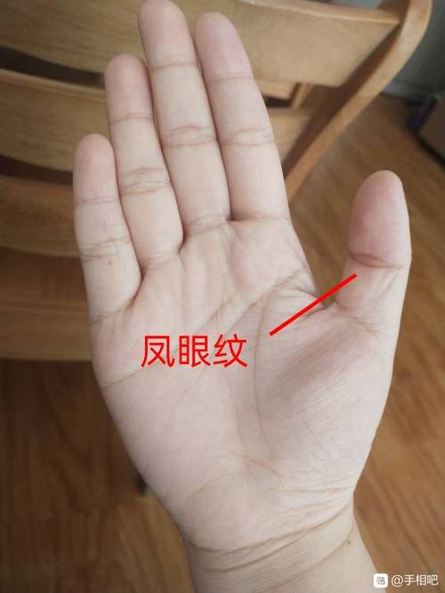 手指有凤眼纹的人是什么命运