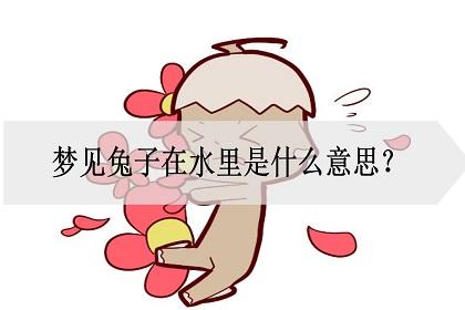 梦见兔子喝水 周公解梦之梦到兔子喝水