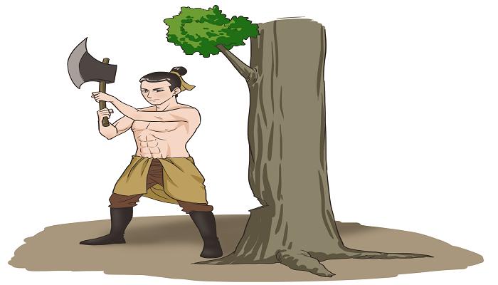 梦见森林砍树