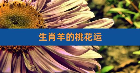 为什么说属羊2021年有劫