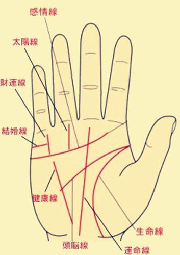 手相三大主线的差异代表什么