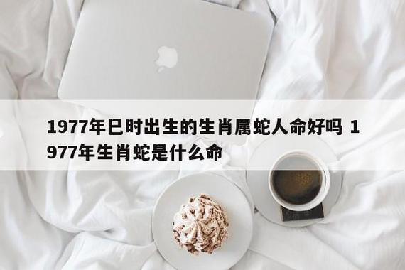 1977年属蛇的是什么命