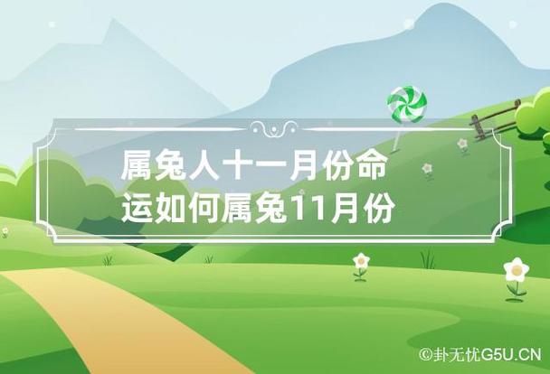 十一月出生的属兔人命运好吗