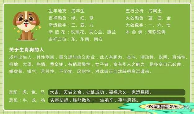 2019年桃花&事业运势最旺的生肖排名！