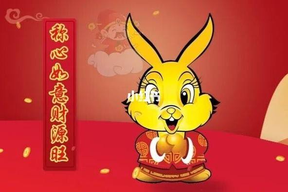 属兔的人人们喜欢吗