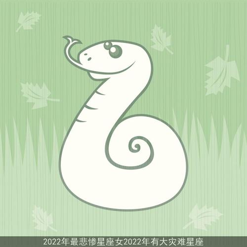2022年有大灾难的星座