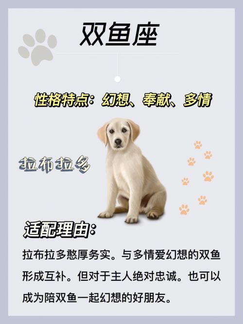 十二星座养狗做什么