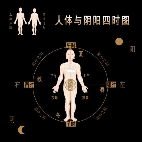 从中医角度看阴阳与人体生命的对应