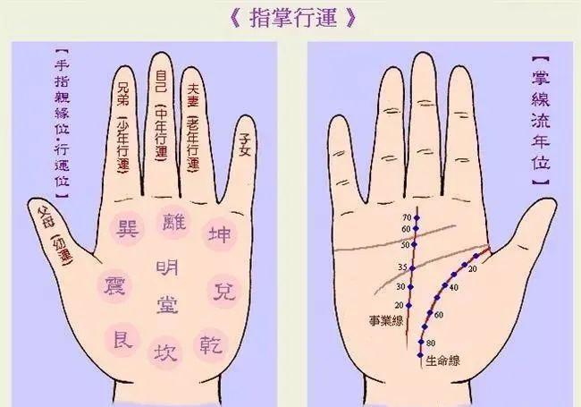 从生命线了解一生的事业运势