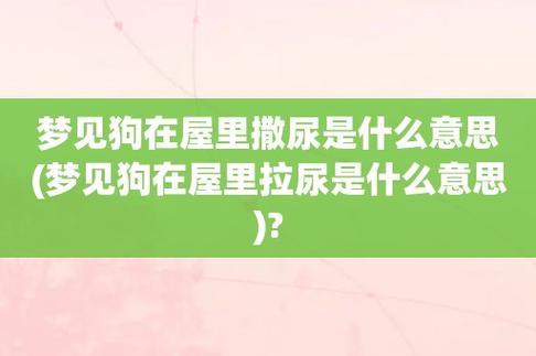 梦见狗在小便是什么意思