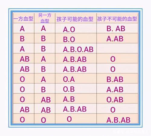 3种血型最佳组合宝宝聪明