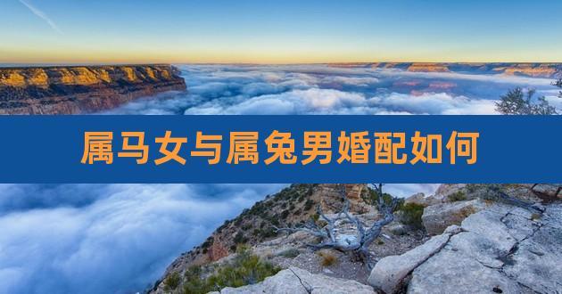 属兔期待怎样的婚姻