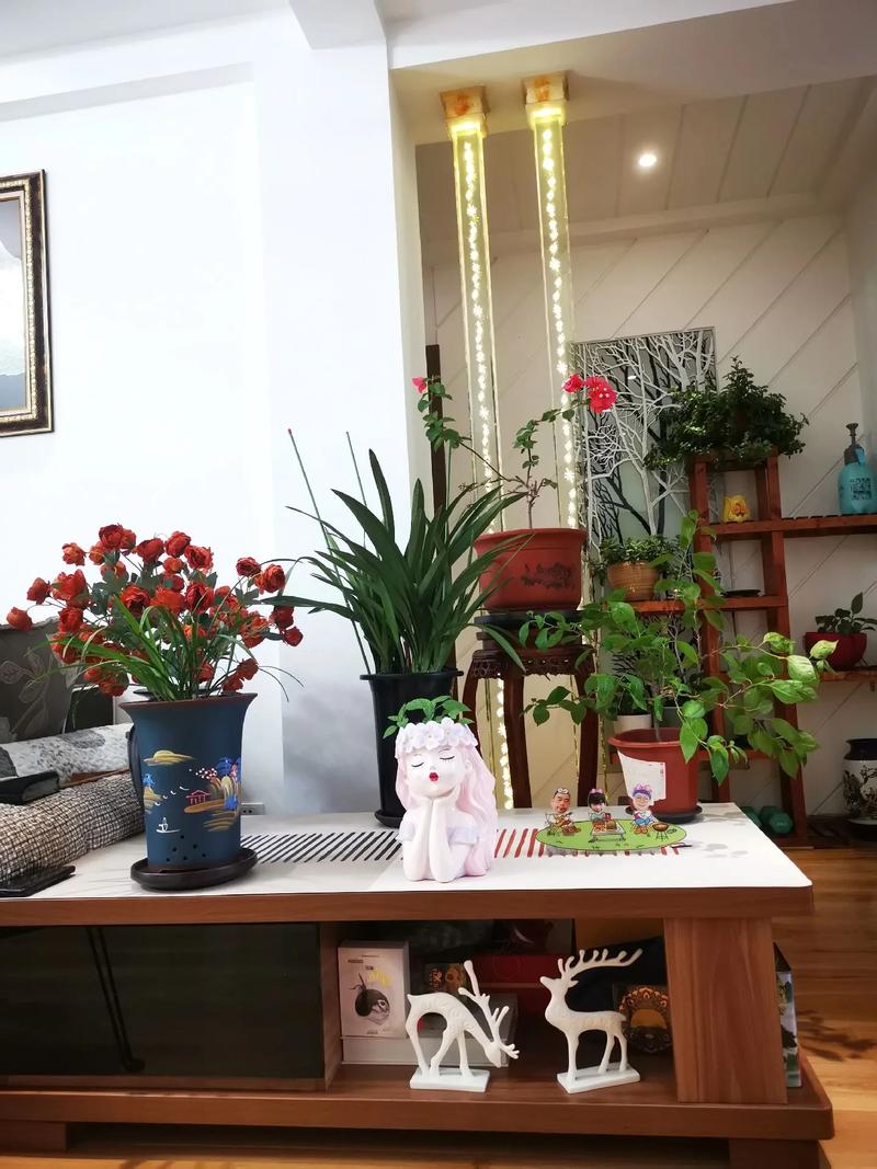 房间的花如何摆放风水