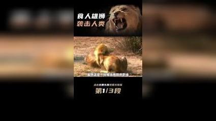 梦见狮子咬死人