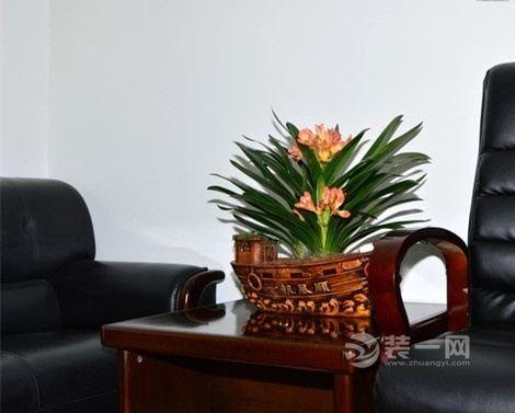 办公室风水 摆放鲜花植物有什么讲究