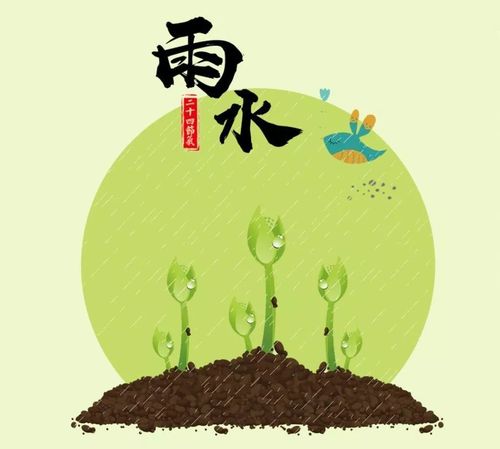 雨水节气物候现象有哪些