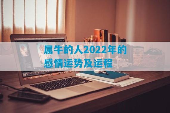 属牛2022年11月爱情运程