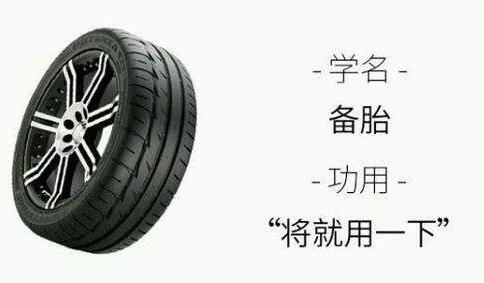 属鼠如何看待自己成了备胎