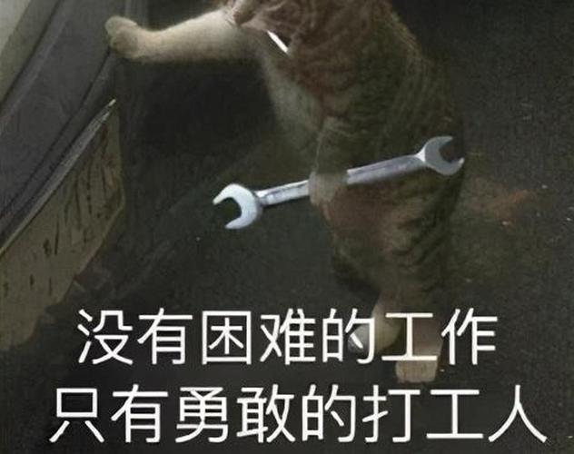 靠打工只能做穷人