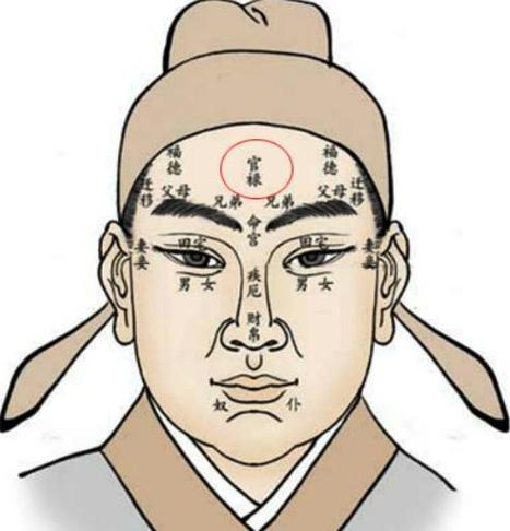 凸额头面相 感情运稳定扎实