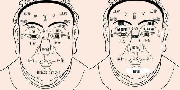 男人额头较低面相图解