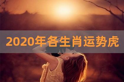 属虎人2020年鼠年的事业贵人