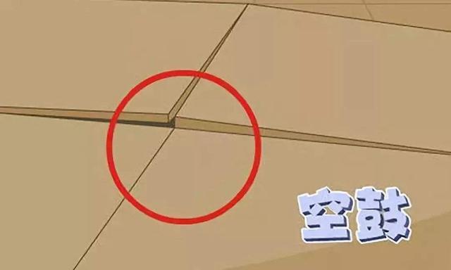 女生龙骨是什么意思