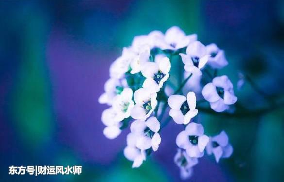 未来15天运势好转,事业风生水起,由穷转富的3星座